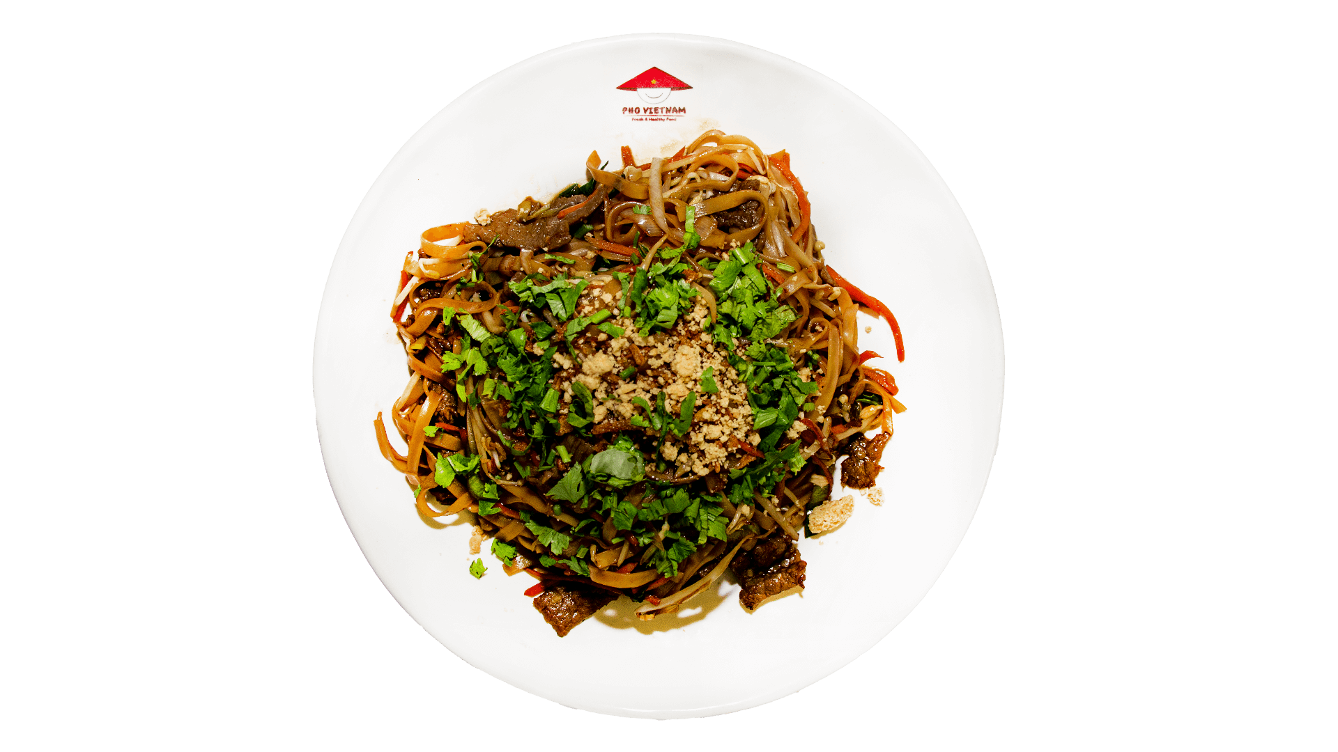 PHO_28 Kopie Woknudeln Viet Noodle